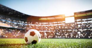 bsports官网 室内健身布景